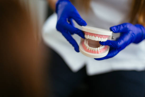 Best Dental Exams and Cleanings  in Titusville, FL